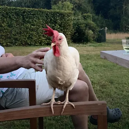 Le Maissin 1876 Bed & Breakfast